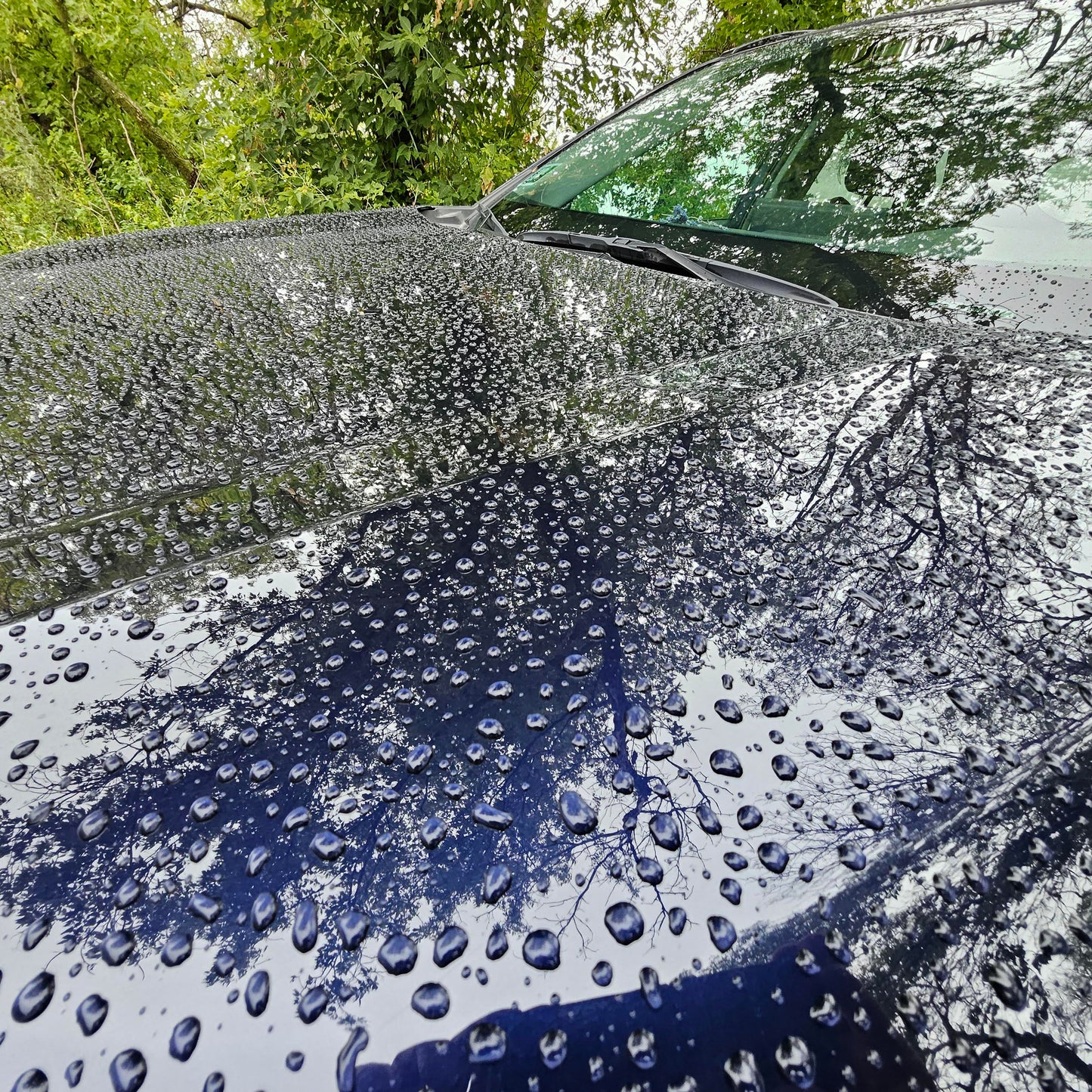 Ceramic Coating  (Protection & Gloss)