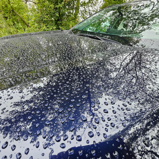 Ceramic Coating  (Protection & Gloss)