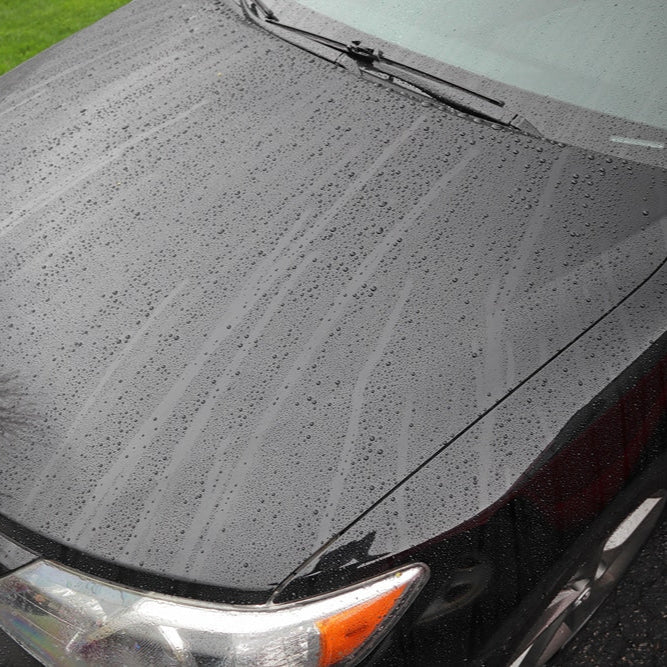 Ceramic Coating  (Protection & Gloss)