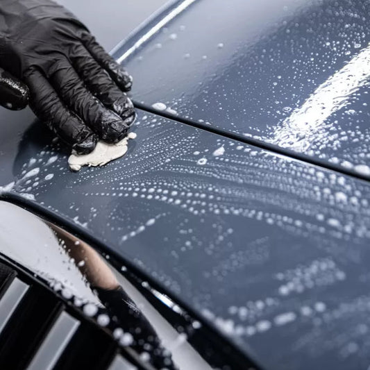 Clay Bar & Sealant